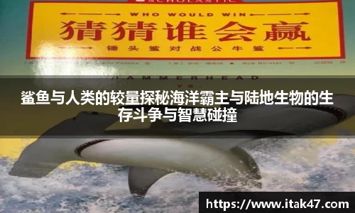 鲨鱼与人类的较量探秘海洋霸主与陆地生物的生存斗争与智慧碰撞